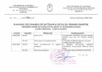 CAPA.pdf